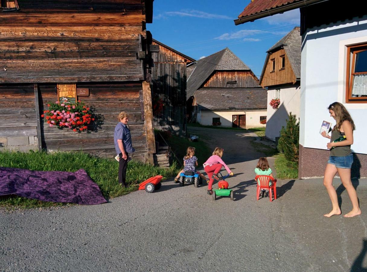 Sankt Peter am KammersbergRettlhof别墅 外观 照片